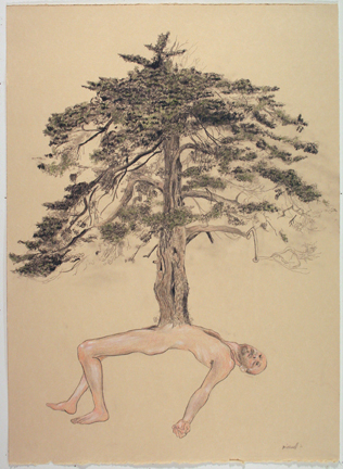 Tree drawing on paper Michael Hecht